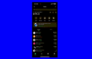 What Is Crypto Wallet Recovery?